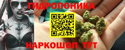 марихуана Кингисепп