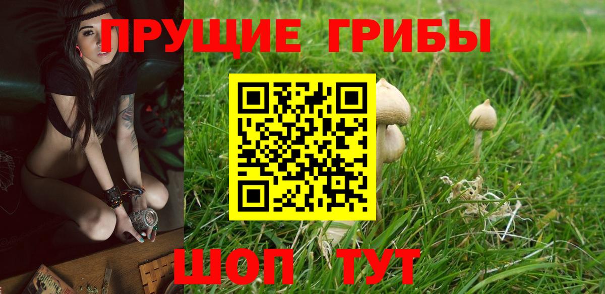 Галлюциногенные грибы мицелий Луга