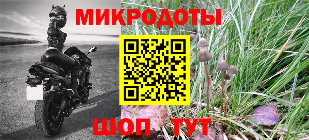 Галлюциногенные грибы GOLDEN TEACHER  Луга 