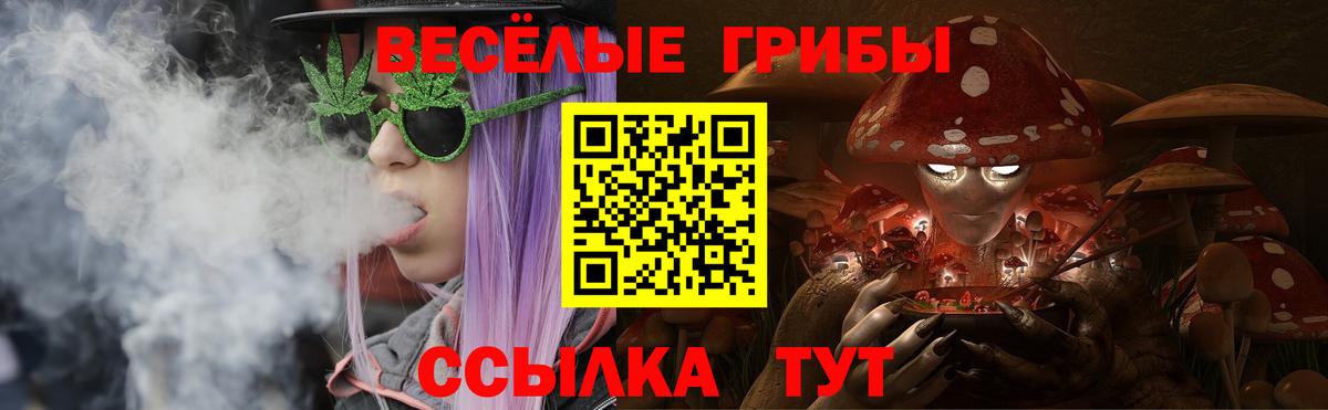 купить наркотик  Псилоцибиновые грибы Psilocybe  Вход с VPN  Луга 