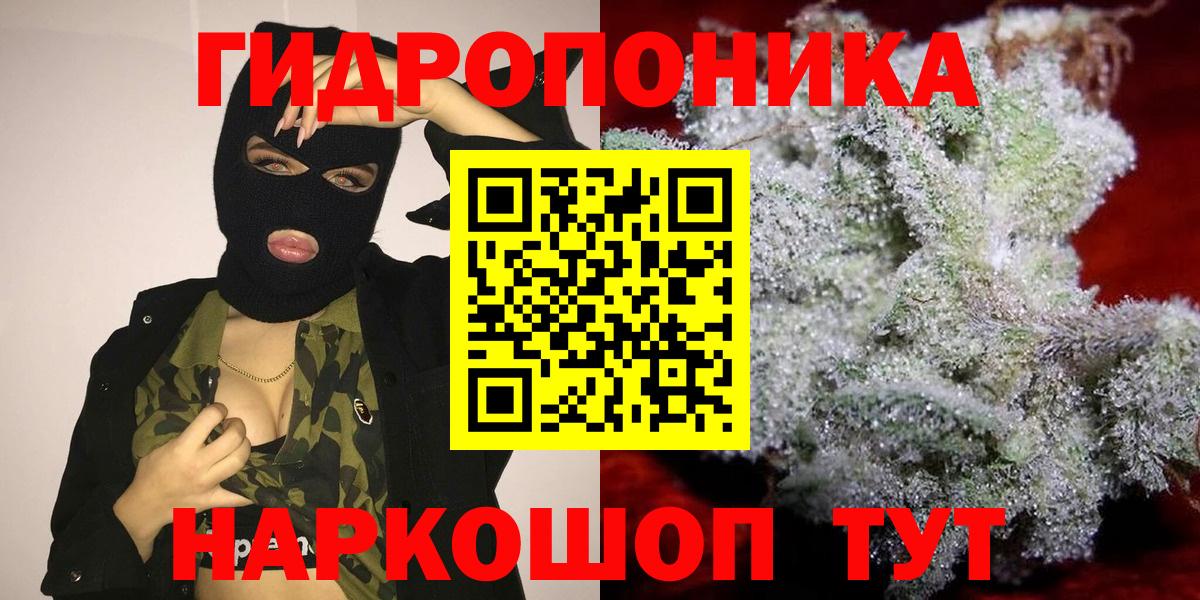 Марихуана SATIVA & INDICA Луга